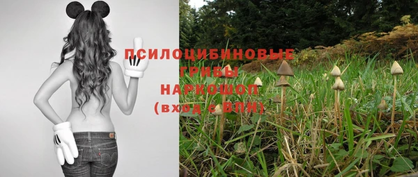 винт Карпинск