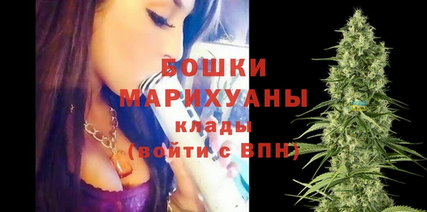 стаф Беломорск