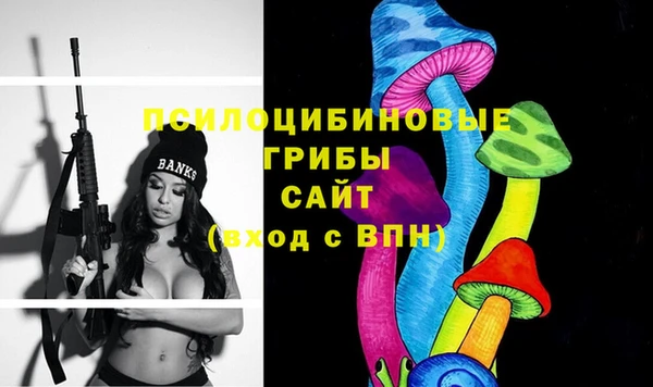 a pvp Богородицк